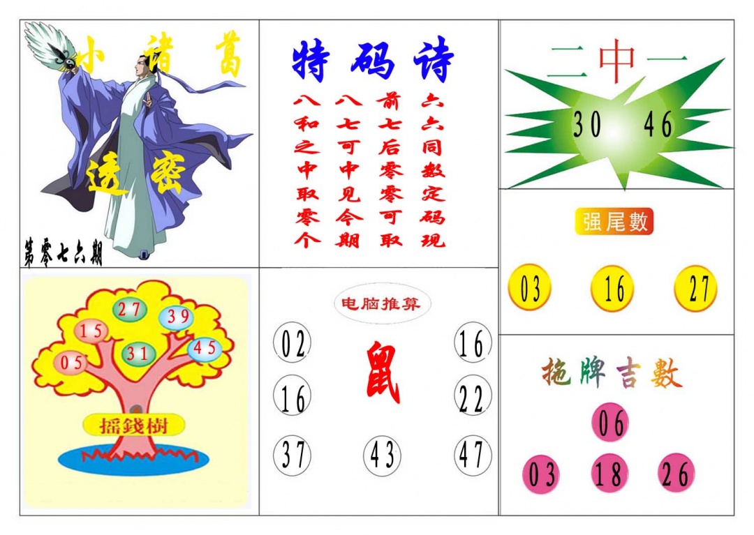 076期小诸葛[图]